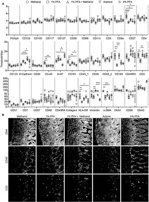 A 34-Marker Panel for Imaging Mass Cytometric Analysis of Human Snap-Frozen Tissue